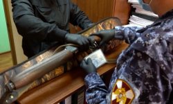 Свыше двухсот лицензий и разрешений на оружие выдали орловские росгвардейцы Свыше двухсот лицензий и разрешений на оружие выдали орловские росгвардейцы