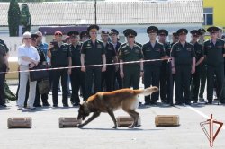 Росгвардия провела День инноваций инженерной службы Росгвардия провела День инноваций инженерной службы