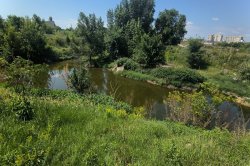 «Смердит и днем, и ночью»: в райцентре под Воронежем образовалось огромное фекальное озеро «Смердит и днем, и ночью»: в райцентре под Воронежем образовалось огромное фекальное озеро