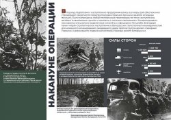 ������ ������������� ���� ������ �������� ����� ������ � 80-����� ������������ ����������