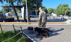 Росгвардия обеспечила общественный порядок на массовых мероприятиях при проведении праздника «Иртышский сабантуй» и на День ВМФ в Омске Росгвардия обеспечила общественный порядок на массовых мероприятиях при проведении праздника «Иртышский сабантуй» и на День ВМФ в Омске