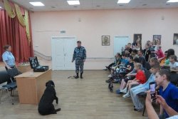 � ���������� ������������ ����������� � ������������� ��������� ������������� ����������������� ������ ��� �����-���������