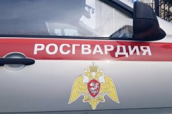 Росгвардейцы задержали ранее судимого архангелогородца за кражу одежды Росгвардейцы задержали ранее судимого архангелогородца за кражу одежды