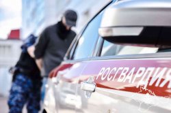 В Керчи росгвардейцы задержали подозреваемого в нанесении телесных повреждений В Керчи росгвардейцы задержали подозреваемого в нанесении телесных повреждений
