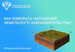 Как избежать нарушений земельного законодательства Как избежать нарушений земельного законодательства