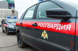В Челябинской области росгвардейцы за сутки задержали двоих подозреваемых в различных кражах В Челябинской области росгвардейцы за сутки задержали двоих подозреваемых в различных кражах