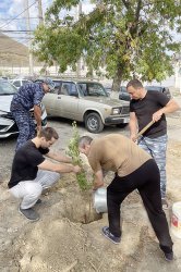 Учреждения уголовно-исполнительной системы Дагестана присоединились к Всероссийской акции «Зеленая Россия» Учреждения уголовно-исполнительной системы Дагестана присоединились к Всероссийской акции «Зеленая Россия»