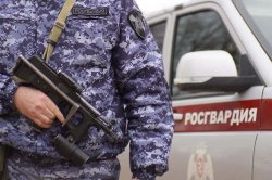 Конфликт в ночном клубе и тревога в оружейном магазине – на какие сообщения выезжала Росгвардия в НАО Конфликт в ночном клубе и тревога в оружейном магазине – на какие сообщения выезжала Росгвардия в НАО