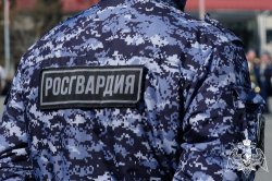 Более 360 вызовов поступило на пункт централизованной охраны Росгвардии за неделю Более 360 вызовов поступило на пункт централизованной охраны Росгвардии за неделю
