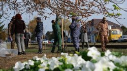 В Тамбове росгвардейцы присоединились к акции по благоустройству города В Тамбове росгвардейцы присоединились к акции по благоустройству города