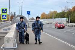 Росгвардия приняла участие в обеспечении безопасности саммита БРИКС в Казани Росгвардия приняла участие в обеспечении безопасности саммита БРИКС в Казани