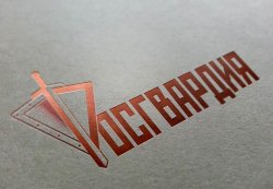 В Челябинске росгвардейцы задержали женщину, подозреваемую в краже продуктов питания В Челябинске росгвардейцы задержали женщину, подозреваемую в краже продуктов питания