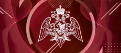 Юношей из Псковской области приглашают на обучение в Военную академию Росгвардии Юношей из Псковской области приглашают на обучение в Военную академию Росгвардии