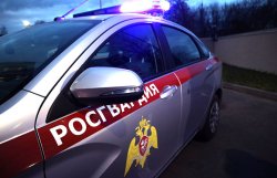 Росгвардейцы предостерегают орловцев о последствиях мелких хищений Росгвардейцы предостерегают орловцев о последствиях мелких хищений