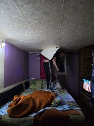 Игра в прятки окончилась принудительным приводом Игра в прятки окончилась принудительным приводом