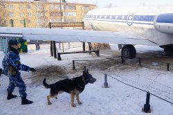 ����� 24 ����� ������� ���������� ����������� �� ������������� ������ ������ �� ������������� ���� � 2024 ����