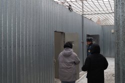 ���������, ���������� � �������� � �������, �������� ������� �������������� �������