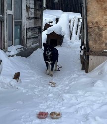 �� ������ ������ ���� ����� ������ �����!