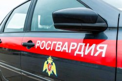 Похитителя спиртного задержал наряд Росгвардии в Архангельске Похитителя спиртного задержал наряд Росгвардии в Архангельске