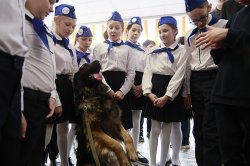 ������� � ����������: ������� � �������� �������� ���������� ������������ �������� �13 �������