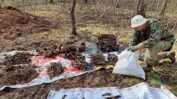 ��������� ������������ �������� ���� ����������� ���������� �������� 