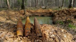 ��������� ������������ �������� ���� ����������� ���������� �������� 