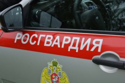 Сотрудники Росгвардии задержали вологжанина, повредившего автомобили такси и скорой помощи на улице в Вологде Сотрудники Росгвардии задержали вологжанина, повредившего автомобили такси и скорой помощи на улице в Вологде