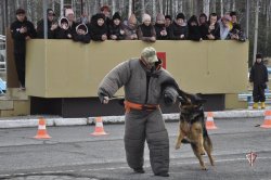 Мероприятия, приуроченные к 82-летию Главного управления контрразведки «Смерш» прошли на Урале Мероприятия, приуроченные к 82-летию Главного управления контрразведки «Смерш» прошли на Урале
