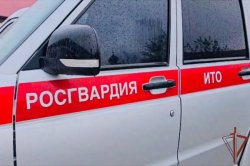 В Чеченской Республике взрывотехники Росгвардии уничтожили более 600 взрывоопасных предметов