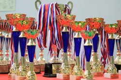 В Ставрополе состоялся ежегодный памятный турнир по киокушинкай за Кубок СОБР Росгвардии В Ставрополе состоялся ежегодный памятный турнир по киокушинкай за Кубок СОБР Росгвардии
