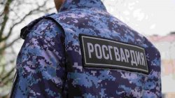 Росгвардейцы задержали подозреваемого в краже из магазина в Тамбове Росгвардейцы задержали подозреваемого в краже из магазина в Тамбове