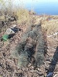 В Сызрани сотрудниками транспортной полиции пресечен факт браконьерства В Сызрани сотрудниками транспортной полиции пресечен факт браконьерства