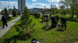 В Челябинске росгвардейцы приняли участие в высадке деревьев