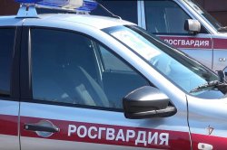 «Бессмертный автополк» на Ямале: росгвардейцы присоединились к патриотической акции к юбилею Победы «Бессмертный автополк» на Ямале: росгвардейцы присоединились к патриотической акции к юбилею Победы