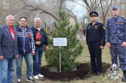 Росгвардейцы, ветераны и кадеты в Тюменской области принимают участие в мероприятиях к 80-летию Великой Победы Росгвардейцы, ветераны и кадеты в Тюменской области принимают участие в мероприятиях к 80-летию Великой Победы