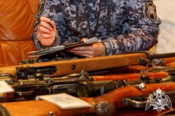 Жители Карелии добровольно сдали росгвардейцам 4 единицы оружия за неделю Жители Карелии добровольно сдали росгвардейцам 4 единицы оружия за неделю