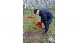 В Иванове росгвардейцы присоединились к международной патриотической акции «Сад памяти» В Иванове росгвардейцы присоединились к международной патриотической акции «Сад памяти»