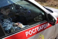 В Саранске росгвардейцы задержали девушку, пытавшуюся тайно вынести из магазина товары В Саранске росгвардейцы задержали девушку, пытавшуюся тайно вынести из магазина товары