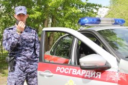 Росгвардейцы в Тюмени задержали подозреваемых в незаконном обороте наркотиков в крупном размере Росгвардейцы в Тюмени задержали подозреваемых в незаконном обороте наркотиков в крупном размере