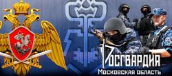 В Москве запустили спецсайты для защиты от краж