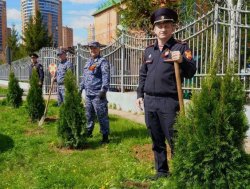 В Подмосковье сотрудники Росгвардии по Московской области присоединились к акции «Лес Победы» В Подмосковье сотрудники Росгвардии по Московской области присоединились к акции «Лес Победы»