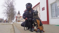 В НАО безопасность более 5000 человек обеспечивали кинологи ОМОН Росгвардии В НАО безопасность более 5000 человек обеспечивали кинологи ОМОН Росгвардии