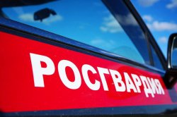 За прошедшую неделю подмосковные росгвардейцы выезжали более 2400 раз по сигналам «Тревога» с охраняемых объектов За прошедшую неделю подмосковные росгвардейцы выезжали более 2400 раз по сигналам «Тревога» с охраняемых объектов