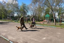 Показательные выступления провели росгвардейцы в подшефном детском доме Томска Показательные выступления провели росгвардейцы в подшефном детском доме Томска