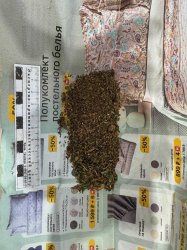 У жителя Республики Элисты транспортные полицейские изъяли наркотические вещества У жителя Республики Элисты транспортные полицейские изъяли наркотические вещества