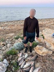 Транспортными полицейскими пресечена незаконная добыча рыбы в акватории Таганрогского залива Азовского моря Транспортными полицейскими пресечена незаконная добыча рыбы в акватории Таганрогского залива Азовского моря