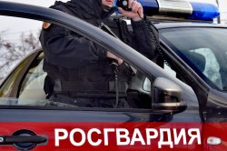 Результаты работы за неделю подразделений Росгвардии в Архангельской области Результаты работы за неделю подразделений Росгвардии в Архангельской области