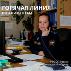 Горячая линия по алиментам Горячая линия по алиментам