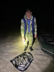 Браконьеры с сетями попались на Дону: ущерб превысил 60 тысяч рублей Браконьеры с сетями попались на Дону: ущерб превысил 60 тысяч рублей