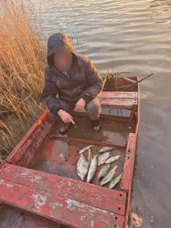 Браконьеры с сетями попались на Дону: ущерб превысил 60 тысяч рублей Браконьеры с сетями попались на Дону: ущерб превысил 60 тысяч рублей